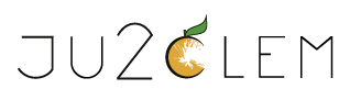Ju2Clem – Designer graphique : Logo / Identité visuelle Logo